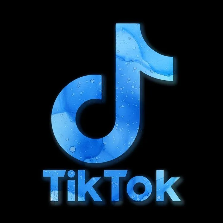Tiktok Việt Siêu Cổ Trâu 1000 - 10000 Followers Random - Năm Tạo 2020-2023 random