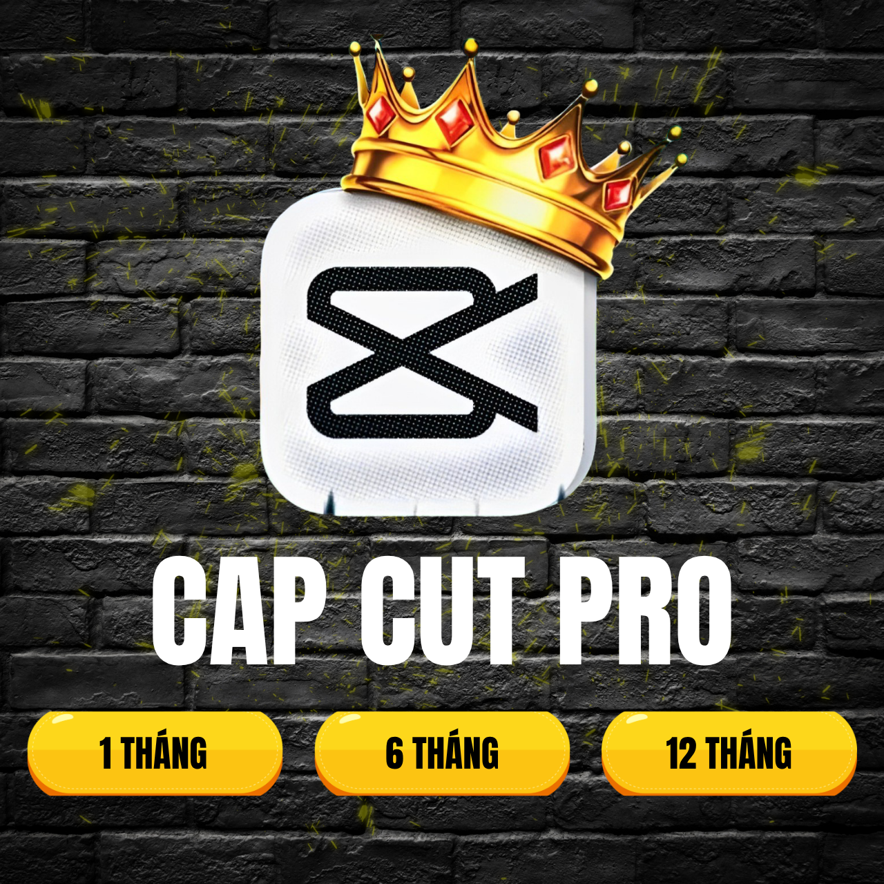 CAPCUT PRO - 3 THIẾT BỊ