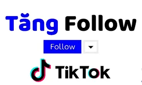 TĂNG NGƯỜI THEO DÕI TIKTOK - TĂNG LƯỢT XEM - TĂNG THẢ TIM UY TÍN NHANH GỌN