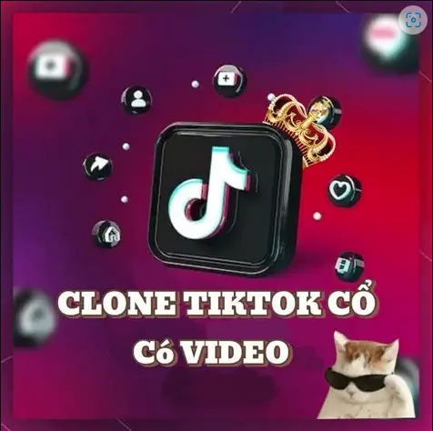 Tài khoản TikTok Việt Cổ