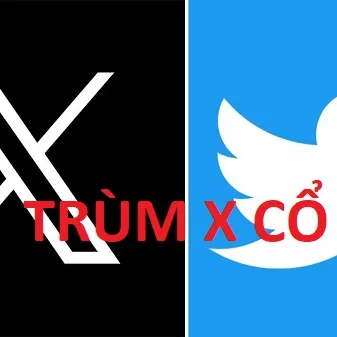 X Cổ 2021 - 2024, 2FA, Avarta, Siêu Trâu